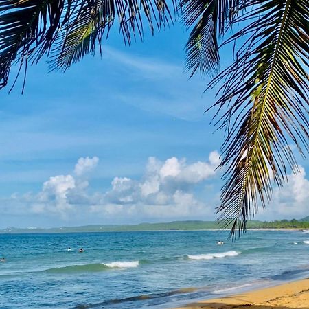 Beachbums Hideaway Luquillo Extérieur photo